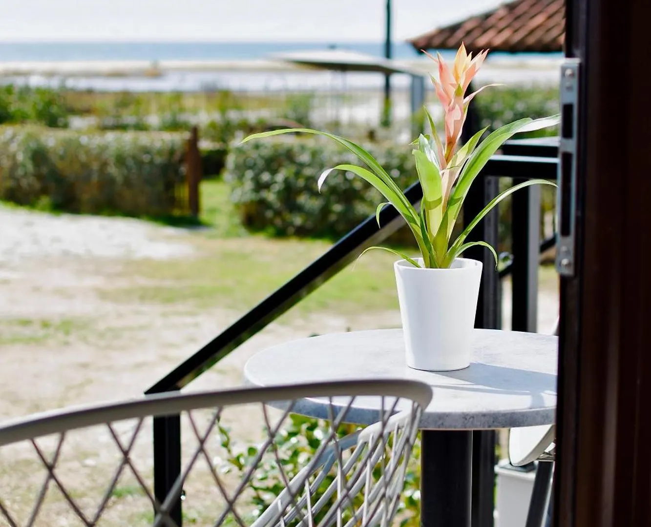 Room Nine 9 Beachfront Apartments Nea Kallikrateia